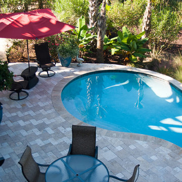 Free Form Swimming Pool Design in Mt. Pleasant, SC