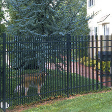 fencing