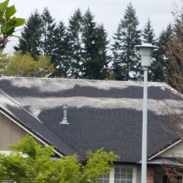 Pressure Washing - Roof