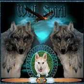 Nancy Carpenter's photo