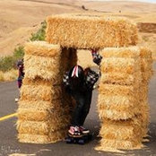 Katrina Vogel's photo