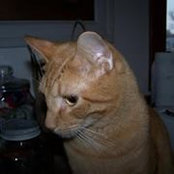 Becky McMillen's photo