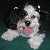 Susan Krantz's photo