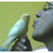 Foto von Jorge Matos Jr.
