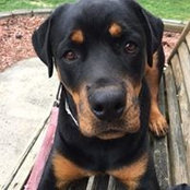 Michelle Donnelly's photo
