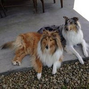Cheryl Westover Pierce's photo