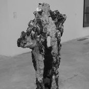 Eugenia Vitale's photo