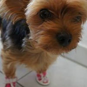 Masako Pattinson's photo