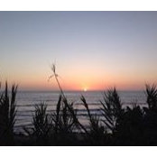 Simonetta Materassi's photo