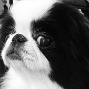 Foto di Yoshida Rie