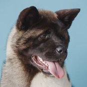 Anastasiya Kartashova's photo