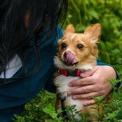 Tracy Sheets's photo