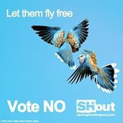 John Peterson's photo