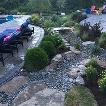 DRY CREEK BED