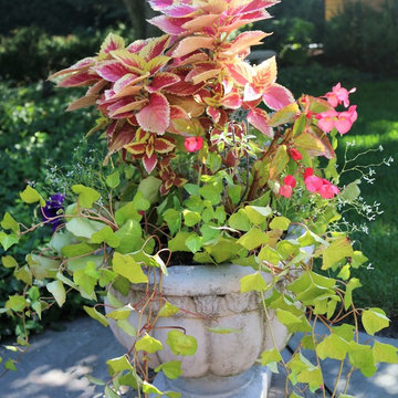 Seasonal Display