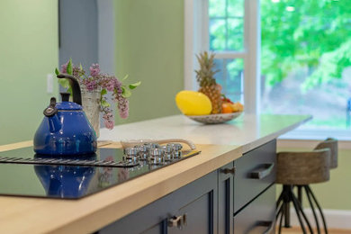 Inspiration for a transitional kitchen remodel in Boston