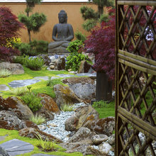 Backyard inspiration