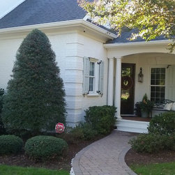 Endurance Aluminum Exterior Shutters - Window Treatments