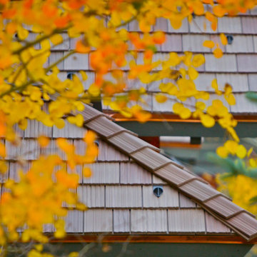 DaVinci Roofscapes