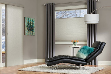 Home design - contemporary home design idea in Hawaii