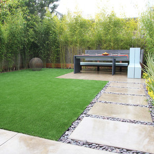 Backyard Artificial Grass Houzz