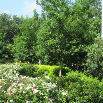 River Oaks IV