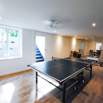 Basement Entertainment Room