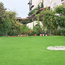 Jamali's Lawn