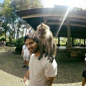 Foto von Brett Fayers