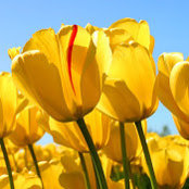 Stacey Buske's photo