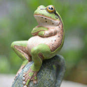 Stephen Cox's photo