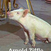 Dave Arnolds foto