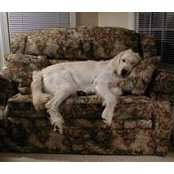 Photo de Ellen Basinger