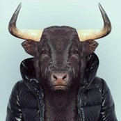 Barbara Desantis's photo