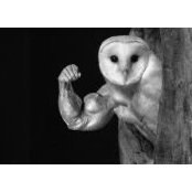 Brian Diercksen's photo