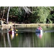 Bill Borland's photo