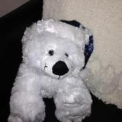 Alex DeBenedetti's photo