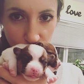 Jillian Scharfstein's photo