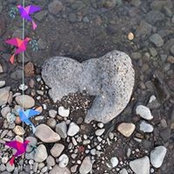 Sue Gabriel's photo