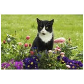 Caryl Ward's photo