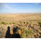 K Dyer's photo