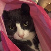 Rosemarie Moos's photo