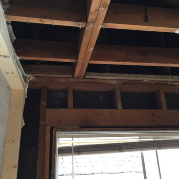 Complete gut kitchen renovation
