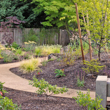 Private Backyard Seating and Pathway