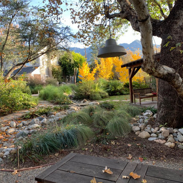 California Craftsman Forest - 5 Years Later