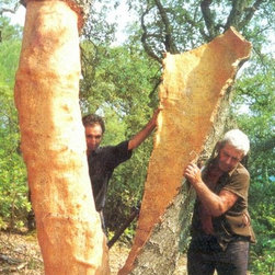 Cork Harvest - Home Decor
