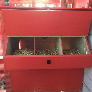 La Crescenta Chicken Coop