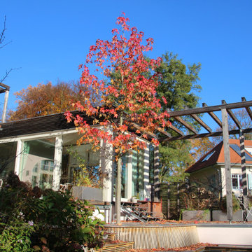 Schwimmteichgarten