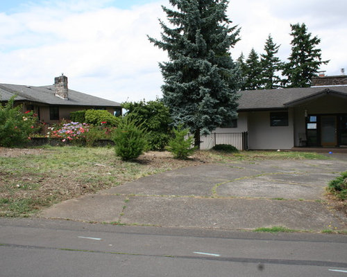 Contemporary front yard makeover