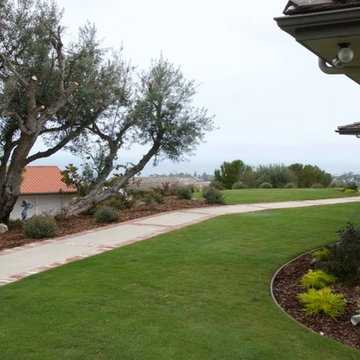 Front entry Bermuda Grass.